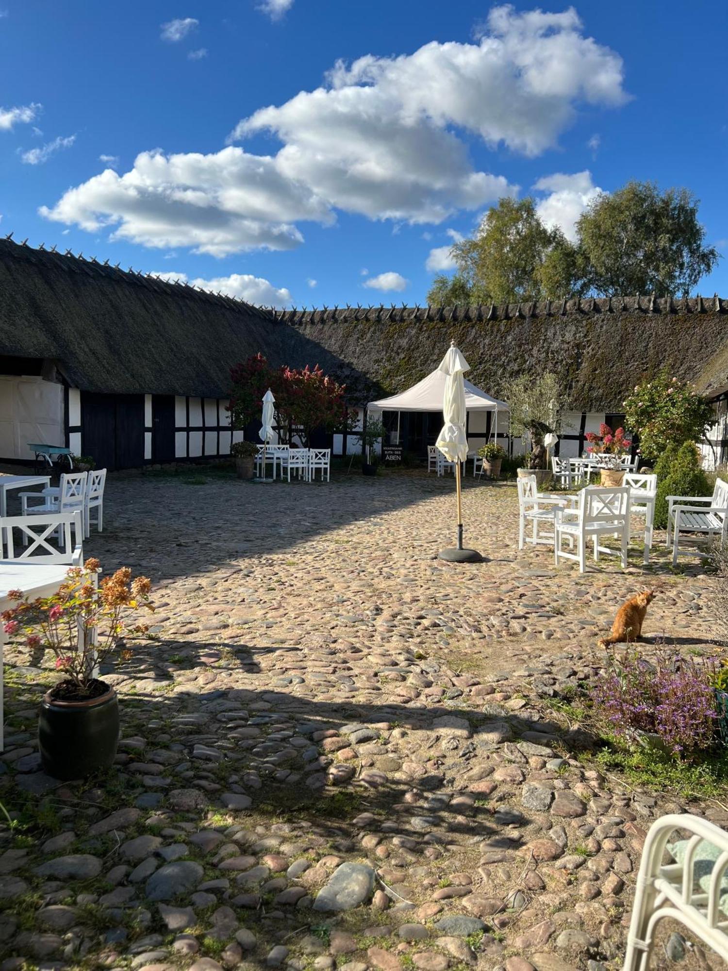 Solbjerggaard Bed & Breakfast Fåborg Exterior foto